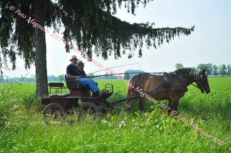 DSC_0825.JPG
